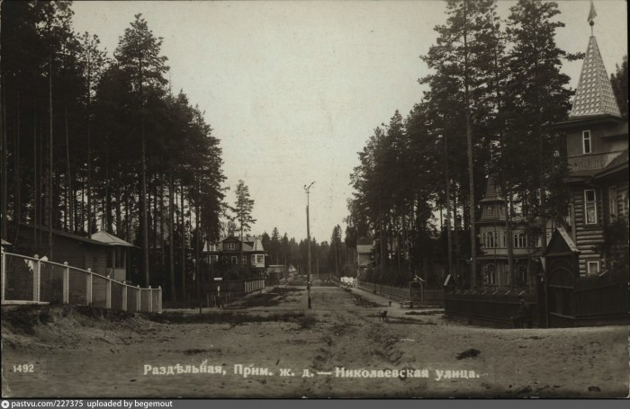 Лисий Нос ( 53 фото )