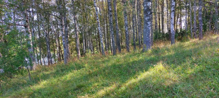 Волоколамск. Городёнка ( 16 фото ) Волоколамск. Городёнка ( 16 фото )