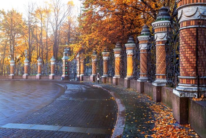 Осенние каникулы в Петербурге: где вкусно поесть и послушать березы