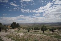 Гид по курортам Туниса в 2023 году Гид по курортам Туниса в 2023 году