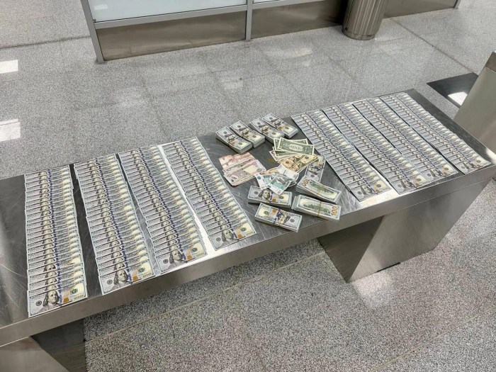 Бивни, радиоактивные карты и золотой песок изымали таможенники в 2023 году 