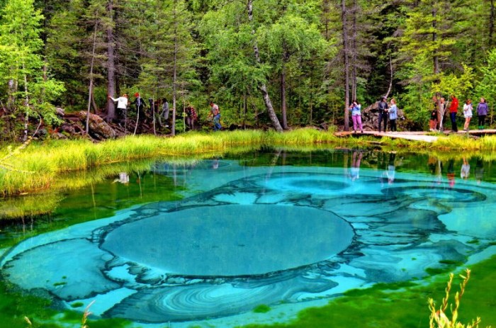7 самых красивых видов Алтая 7 самых красивых видов Алтая