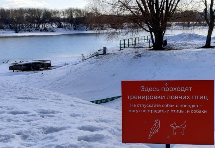 Деревянное зодчество в Коломенском ( 37 фото )
