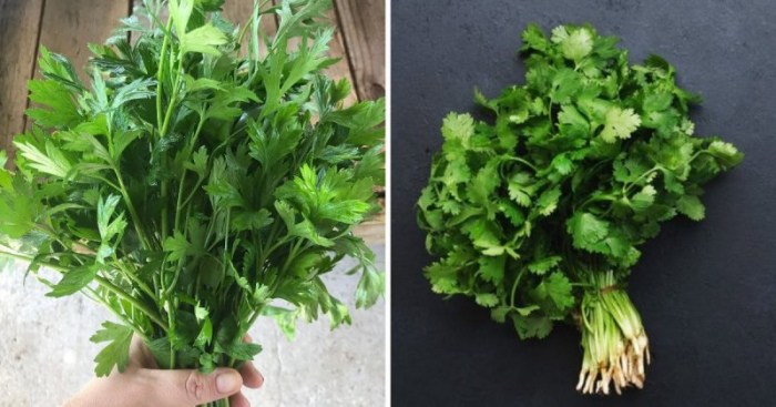 14 коварных пар продуктов, которые настолько похожи, что так и норовят нас запутать