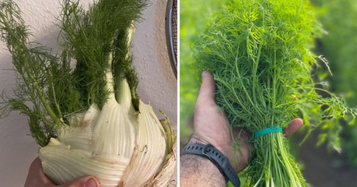 14 коварных пар продуктов, которые настолько похожи, что так и норовят нас запутать