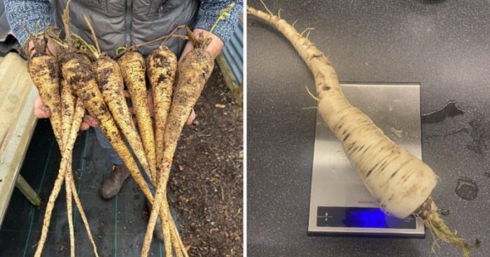 14 коварных пар продуктов, которые настолько похожи, что так и норовят нас запутать