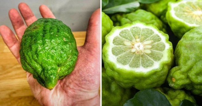 14 коварных пар продуктов, которые настолько похожи, что так и норовят нас запутать