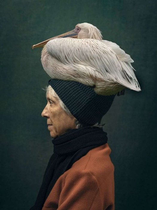 20 фото победителей конкурса All About Photo 2024 года, вызывающих бурю эмоций
