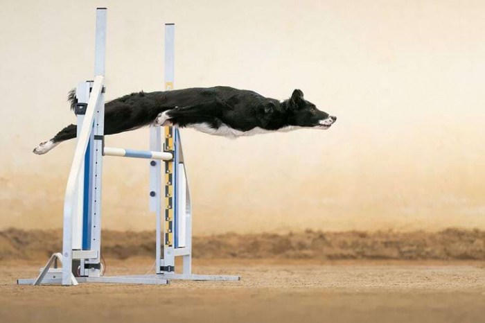 20 фото победителей конкурса All About Photo 2024 года, вызывающих бурю эмоций