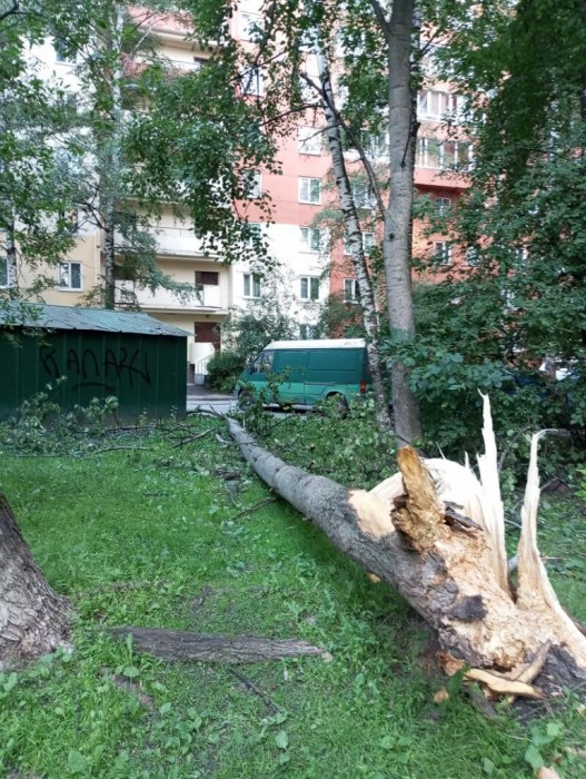ПРОКЛИМАТЬ ВСЕ НА СВЕТЕ ...