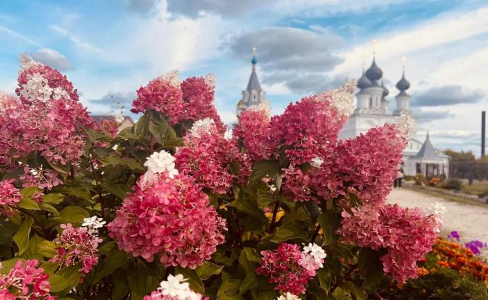 Куда съездить на машине из Москвы на выходные с возрастными родителями: локации, отели, траты