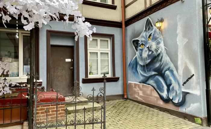 Кототуризм: московский музей кошек и другие 10 лучших музеев мира, посвященных кошкам 
