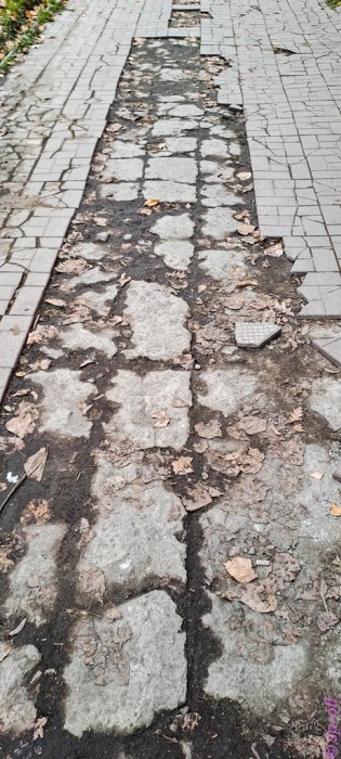 Все дороги ведут в Углич или город без дорог. Хроники Борьбы с Бездорожьем ( 56 фото )
