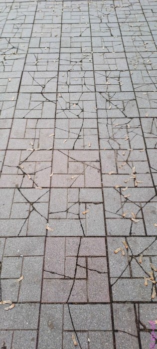 Все дороги ведут в Углич или город без дорог. Хроники Борьбы с Бездорожьем ( 56 фото )