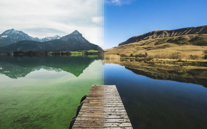 Фотографии-близнецы, сделанные в разных уголках планеты Фотографии-близнецы, сделанные в разных уголках планеты