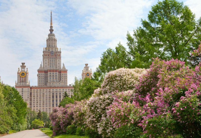 ТОП-25 идей куда сходить с девушкой в Москве: лучшие места для свиданий ТОП-25 идей куда сходить с девушкой в Москве: лучшие места для свиданий
