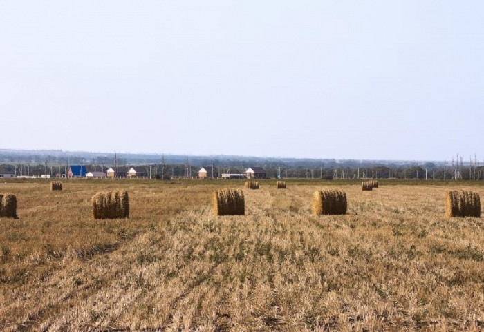 ТОП-21 место для отдыха на Азовском море: пляжи, курорты, серфинг