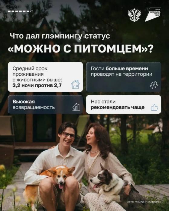 ДОМАШНИЕ ЖИВОТНЫЕ - НЕ БАГАЖ