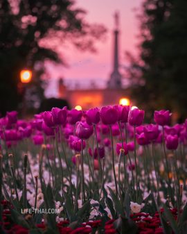 Что посмотреть в Белграде: 11 мест, которые обязательно увидеть, и ещё 10 секретных локаций